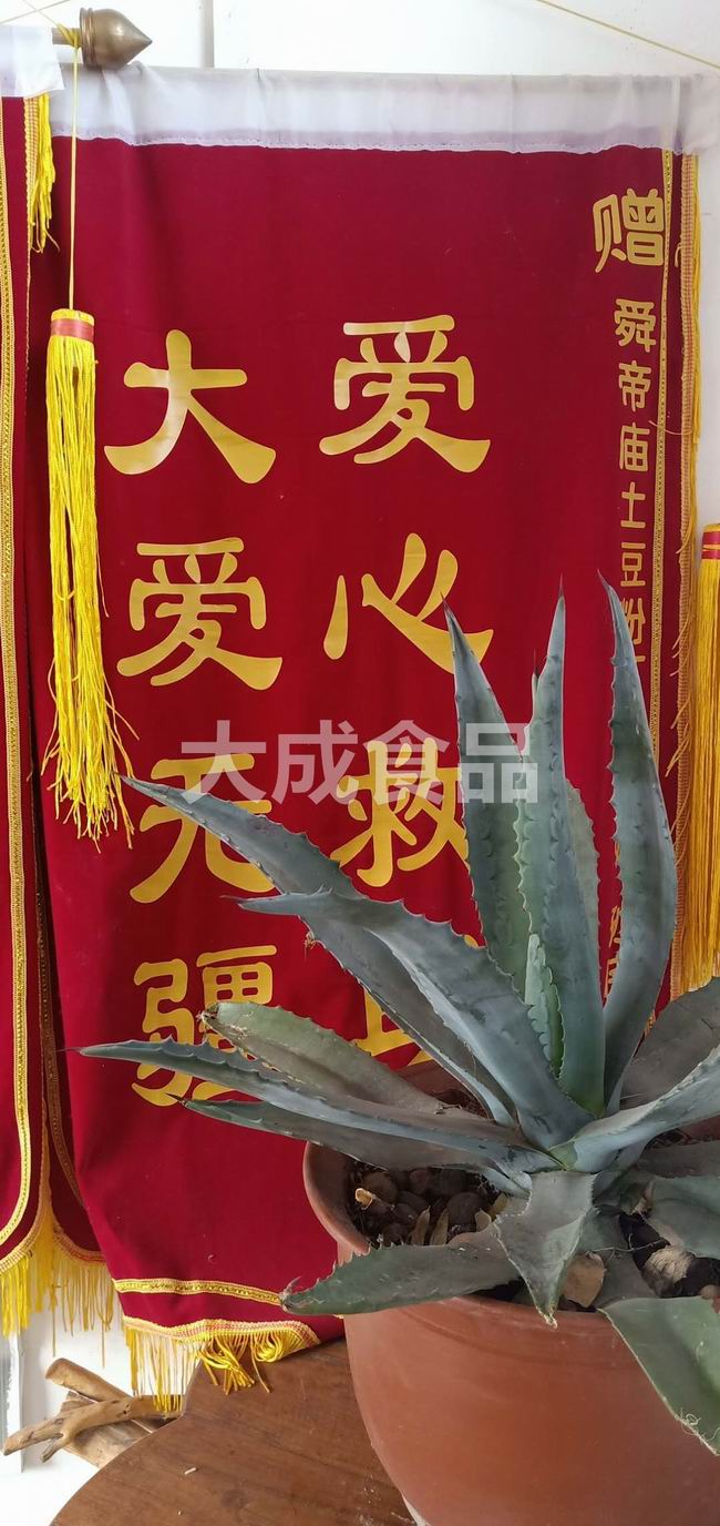 愛(ài)心救助